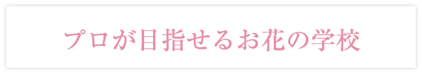 プロが目指せるお花の学校